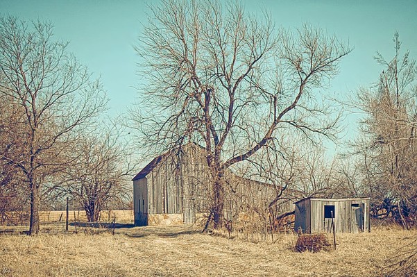 Lost Farm