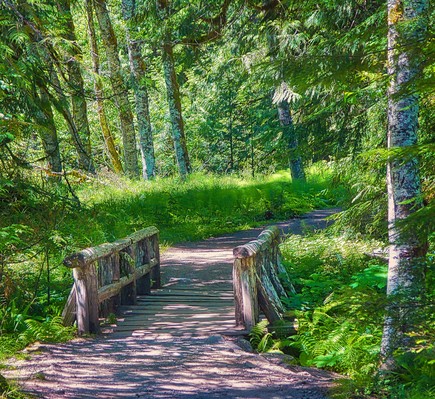 Mountain Trail