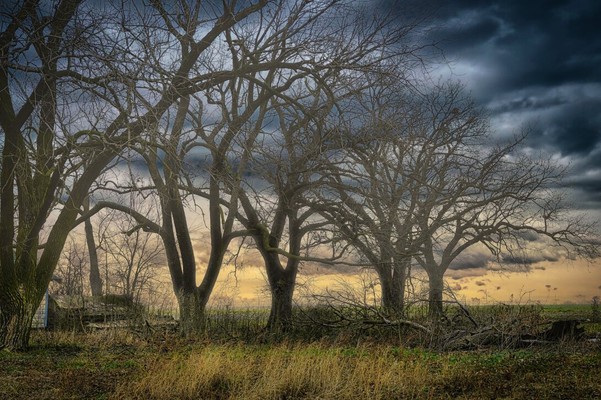 Storm Passing