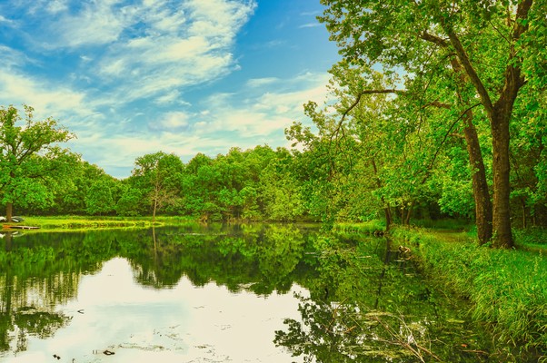 Walk around the pond