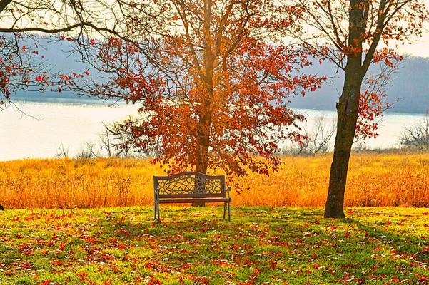 Have a seat