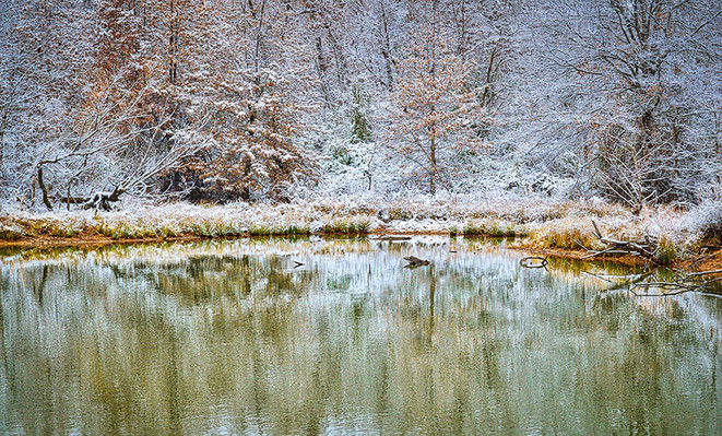Peaceful