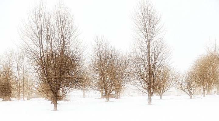 Snow Blowing