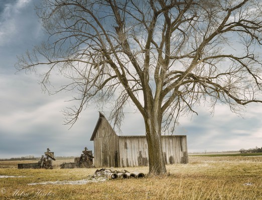 Empty Farmland
