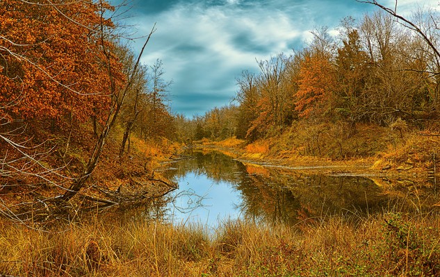 Fall Beauty