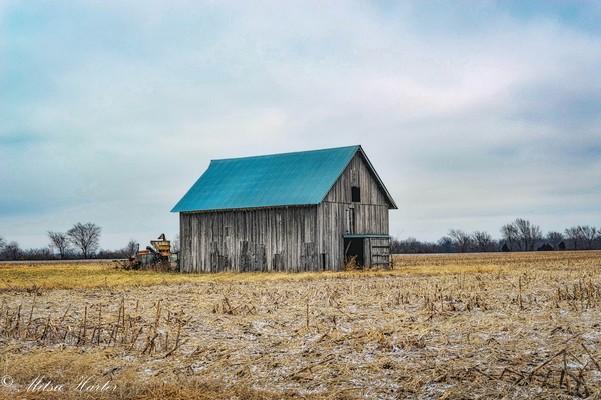 Empty Farmland III