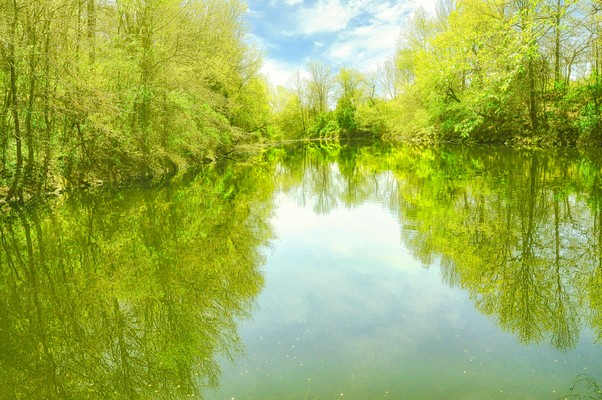 Spring Time